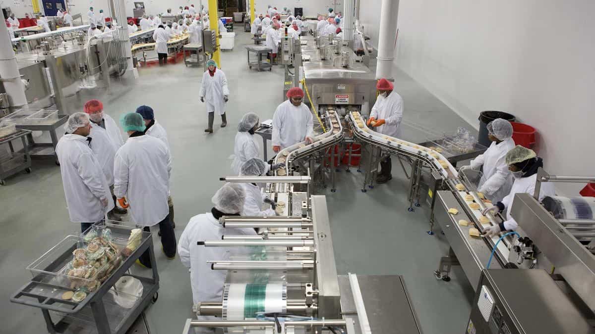 Food Manufacturing OEM ODM